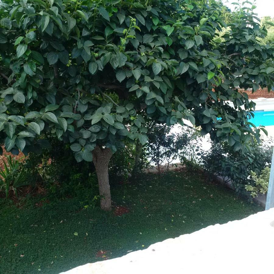 Apartment Pignare *