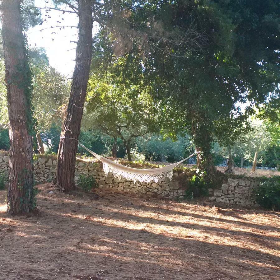 Appartement Pignare *